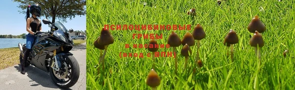 ГАЛЛЮЦИНОГЕННЫЕ ГРИБЫ Бугульма