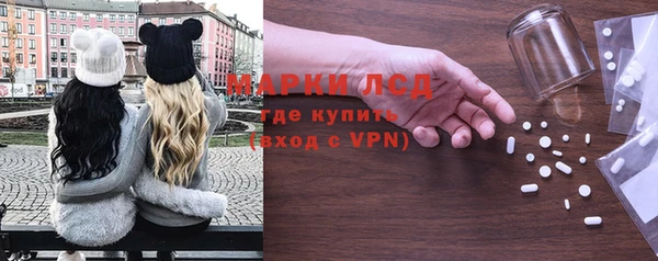 дмт Бородино
